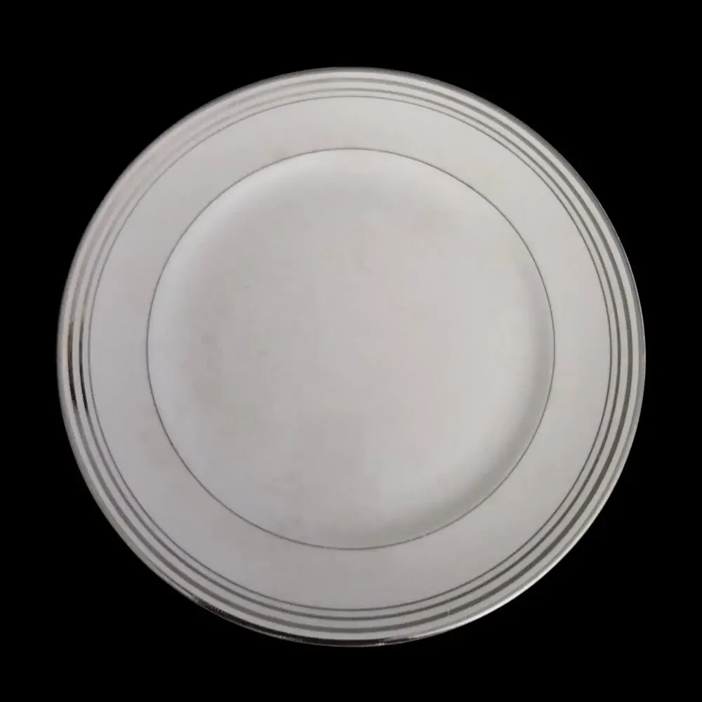 Pope-Gosser Franklin Dinner Plates Set of 2 Silver Band 10